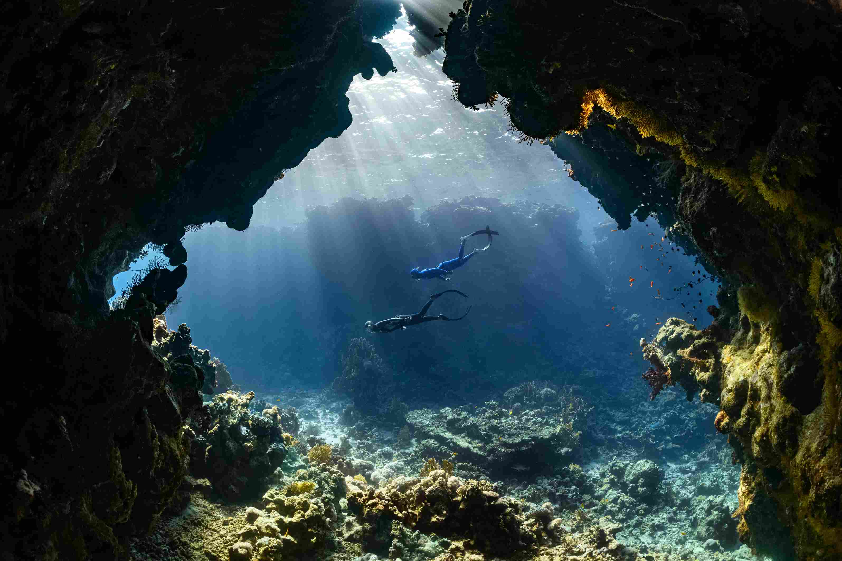 Sun rays crossing underwater reef
