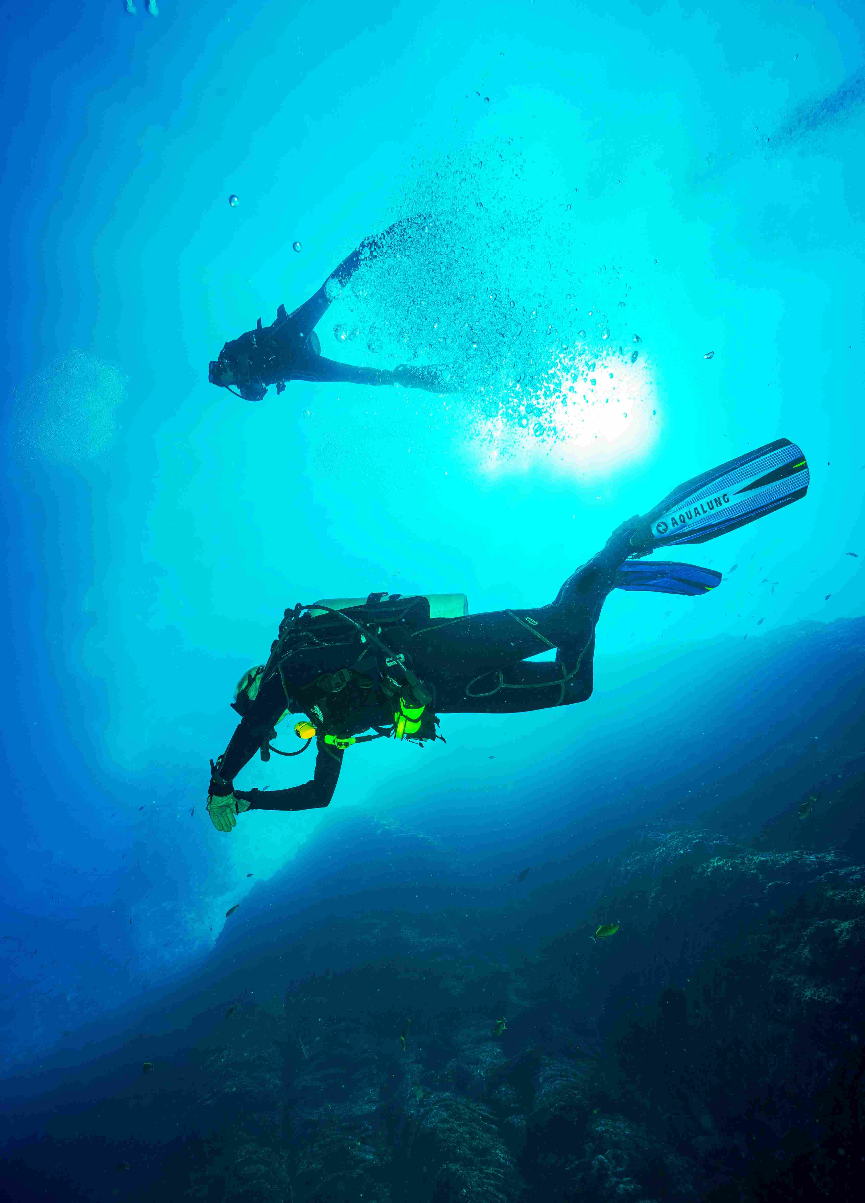 Dense reef textures in Malaysia