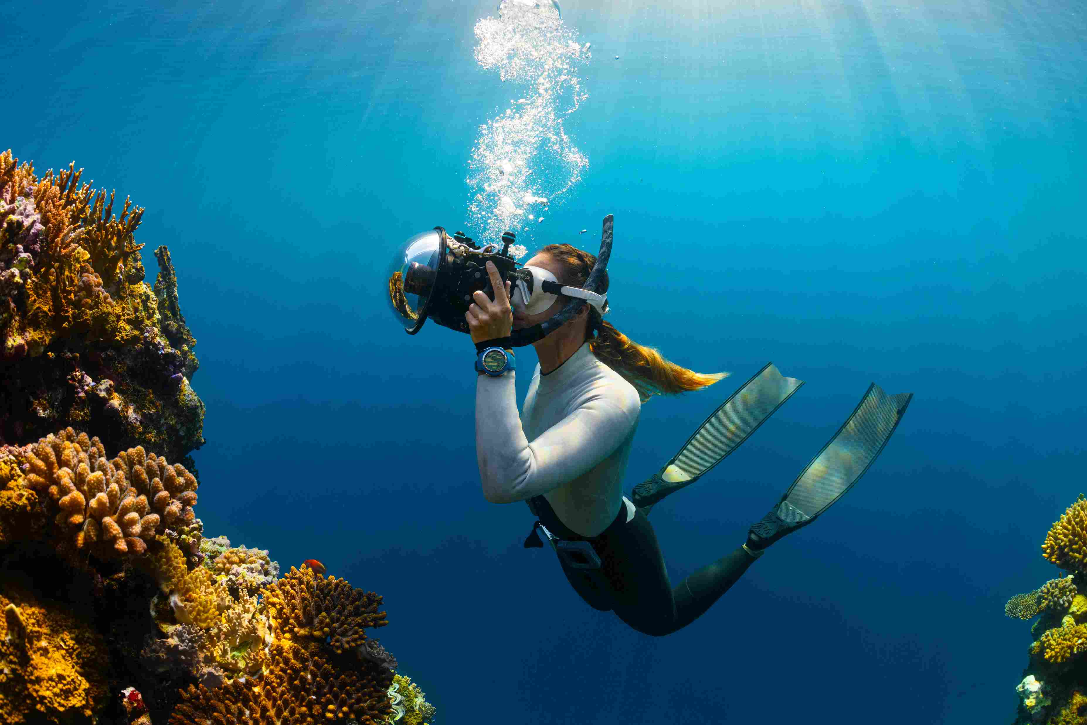 Shallow coral reef exploration